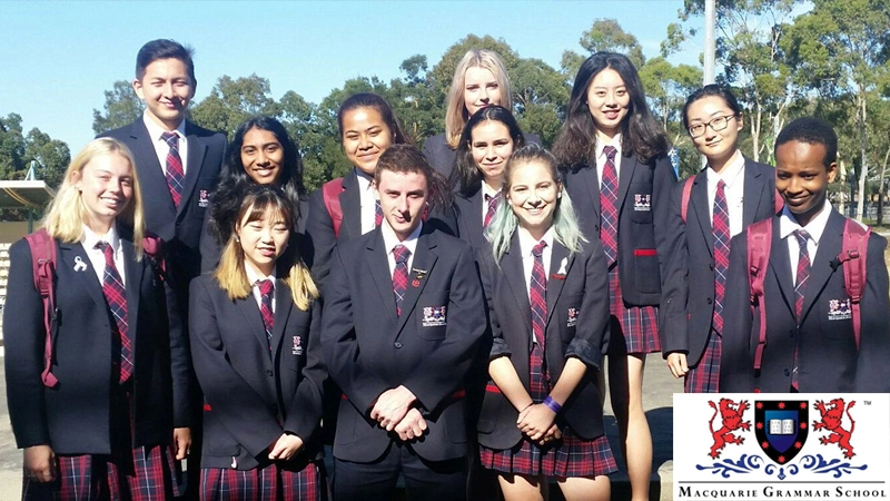 School media preview